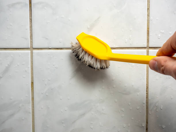 Best Basement Mold Remediation in Adams, WI